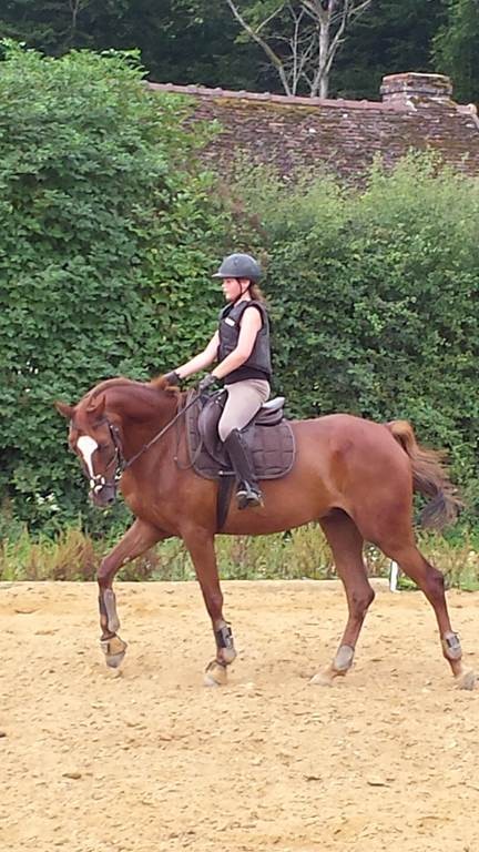 cours particulier 2H - Bonjour Fun