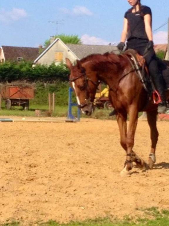 cours particulier 2H - Bonjour Fun