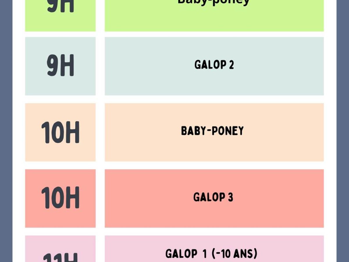 Cours rattrapage - Bonjour Fun