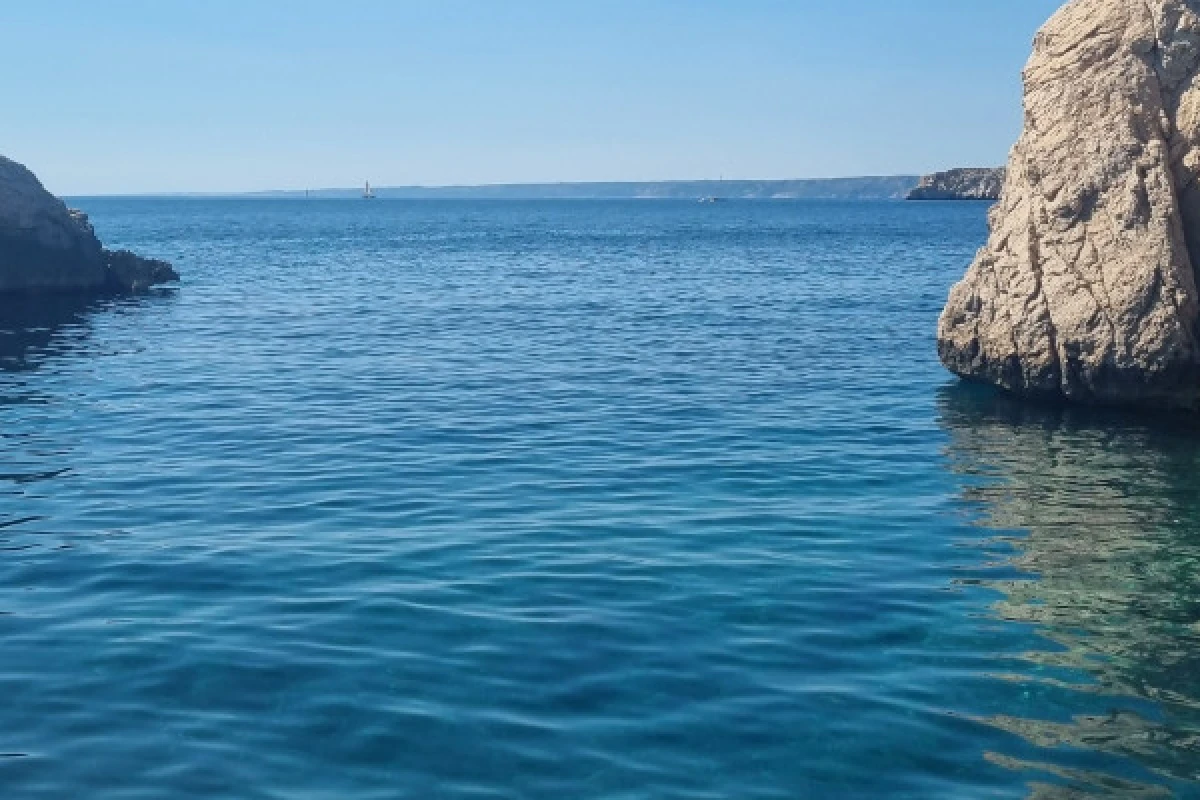 Croisière baignade Parc National des Calanques en demi-journée - Musée du Mucem - Bonjour Fun