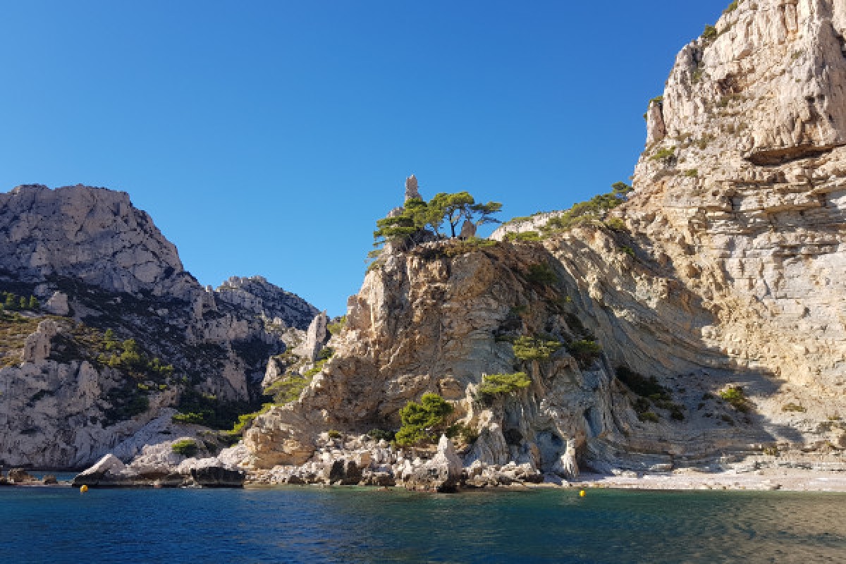 Croisière dans le Parc National des Calanques en journée - Quai d'honneur Mairie - Bonjour Fun