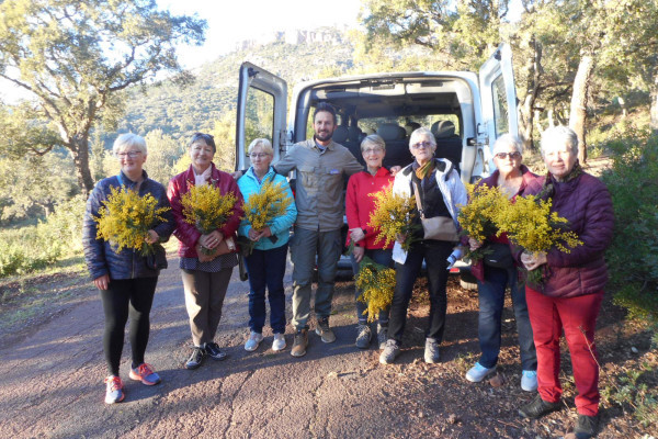 Découverte de l'Estérel avec un guide forestier-Balade Nature - Bonjour Fun