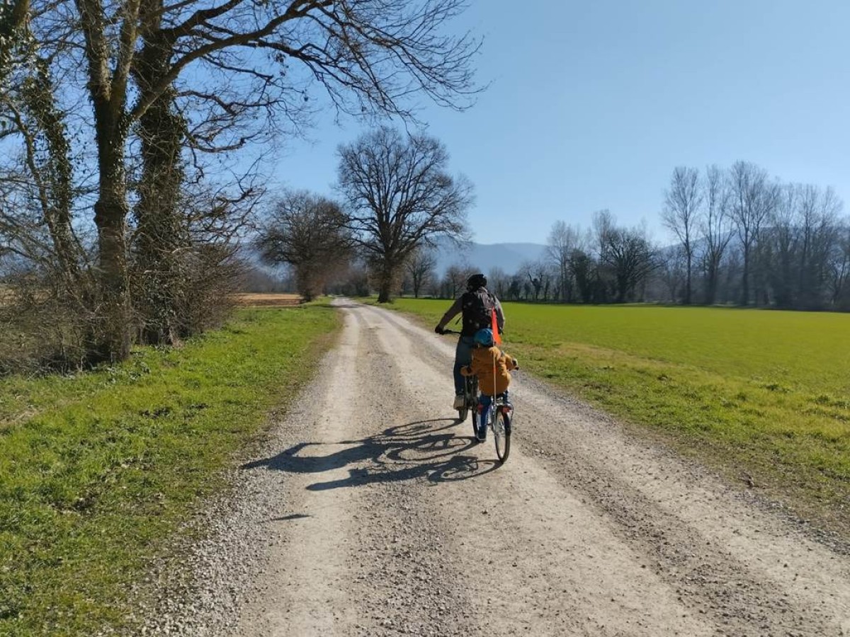 Découverte de la Provence à vélo : La Boucle Bees - Bonjour Fun