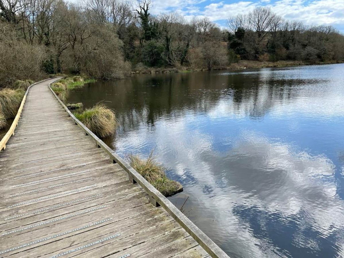Découverte du Pays d’Auray en VTT : Histoire, spiritualité et nature - Bonjour Fun