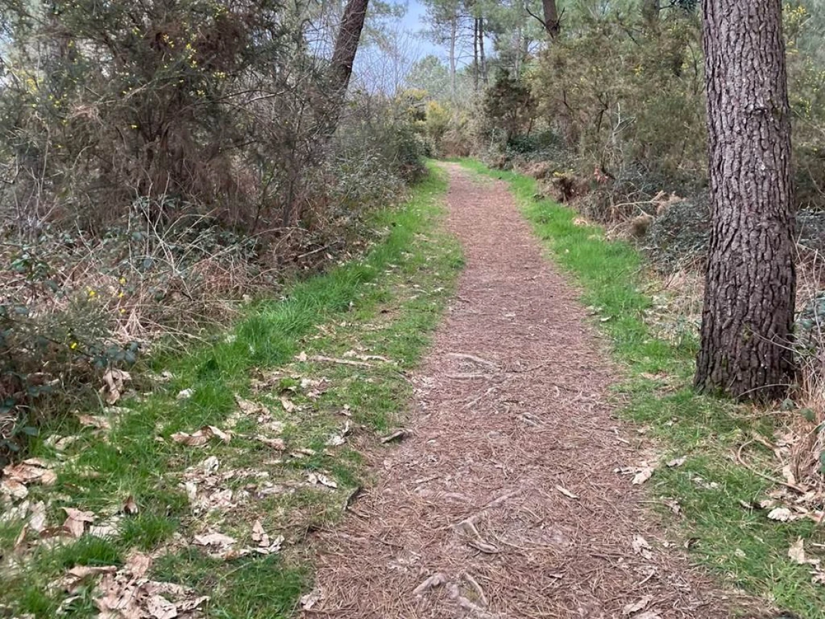 Découverte du Pays d’Auray en VTT : Histoire, spiritualité et nature - Bonjour Fun