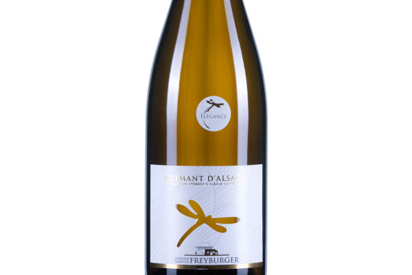 DECOUVERTE EXPRESS - Bonjour Fun