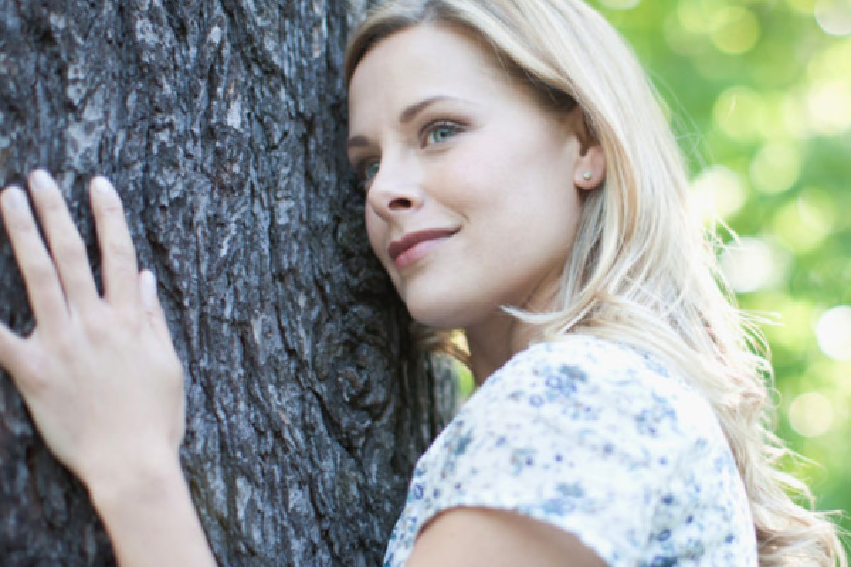 Découverte Sylvothérapie dans les Vosges - Bonjour Fun