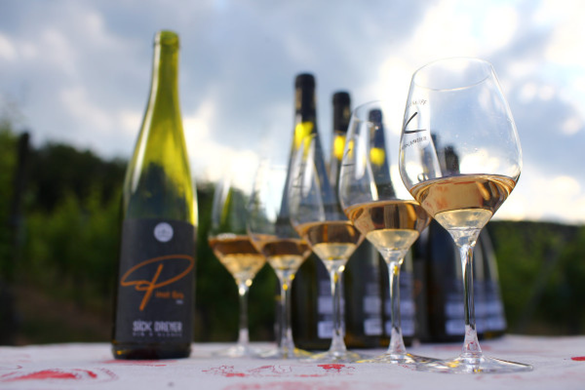 Dégustation accord mets et vins - Bonjour Fun