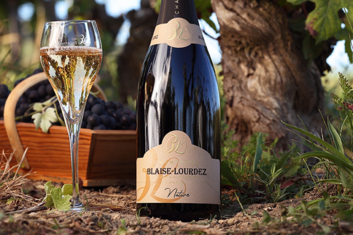 Dégustation au Champagne BLAISE LOURDEZ - Bonjour Fun