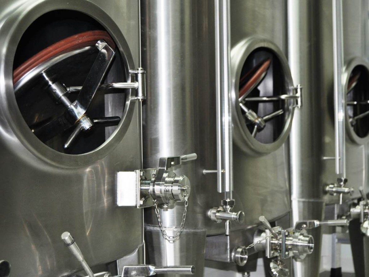 dégustation de 2 cuvées et visite du pressoir - Bonjour Fun