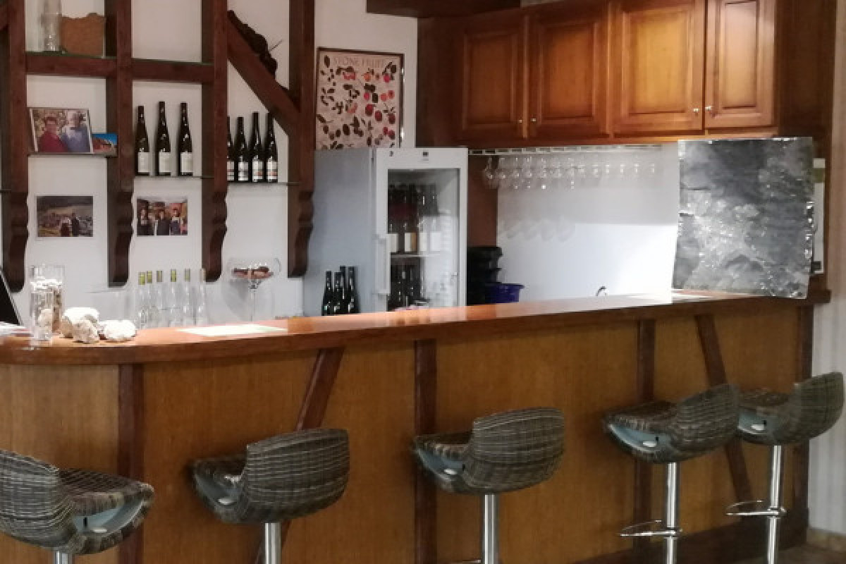 Dégustation de 4 vins d'Alsace BIO (6 personnes max.) - Bonjour Fun