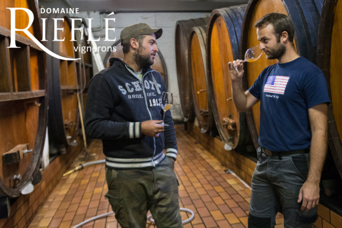 Dégustation de 6 vins d'Alsace BIO (6 personnes max.) - Bonjour Fun