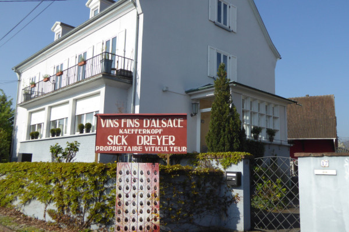 Dégustation de Grands Crus - Bonjour Fun