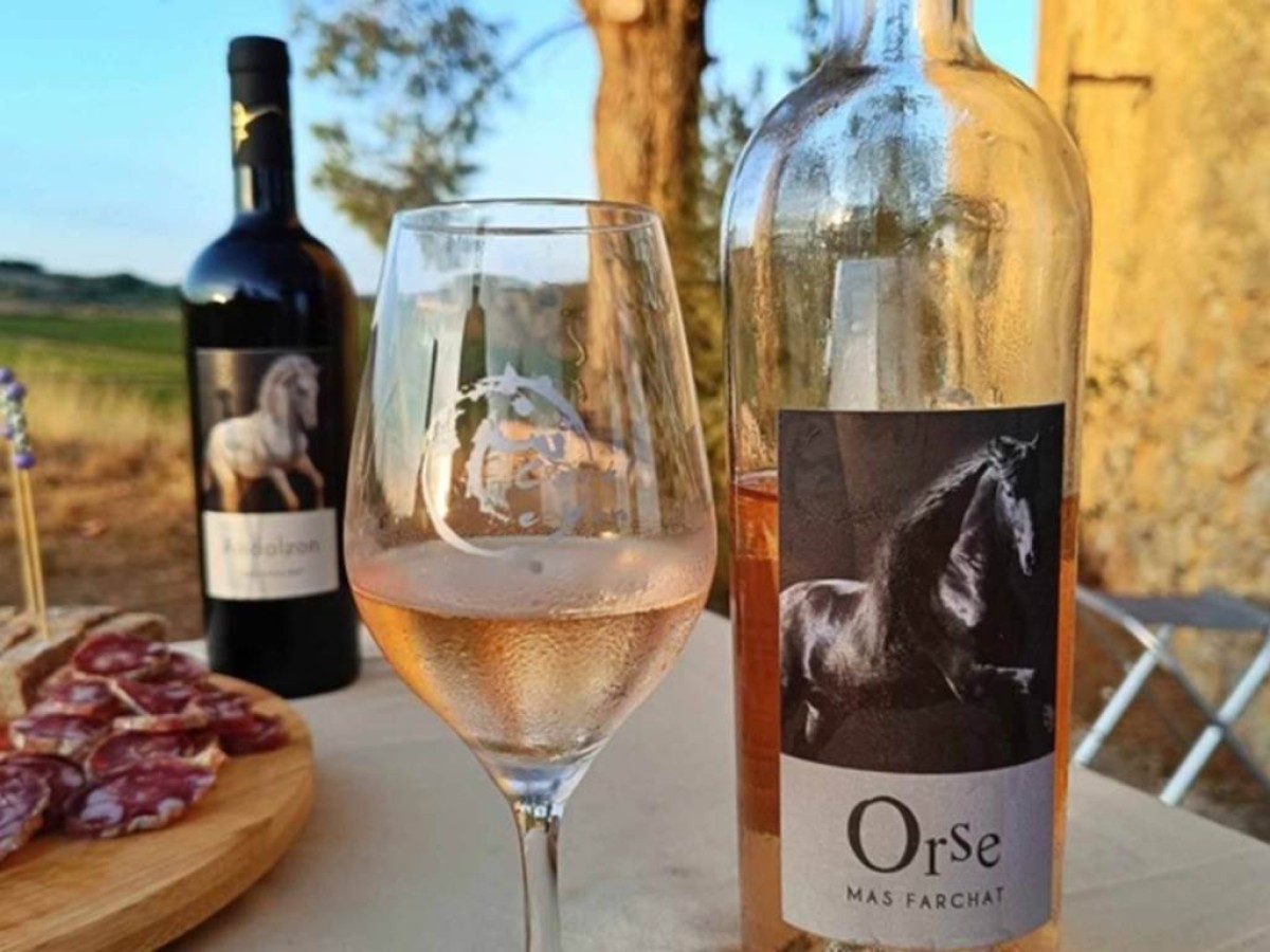 Dégustation de vin et de tapas en pleine nature - Bonjour Fun