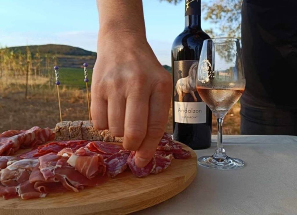 Dégustation de vin et de tapas en pleine nature - Bonjour Fun