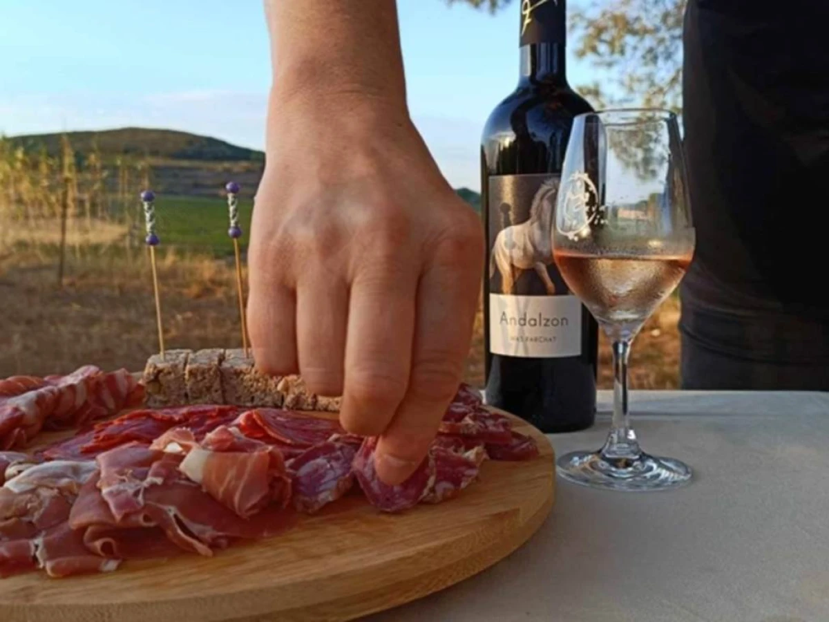 Dégustation de vin et de tapas en pleine nature - Bonjour Fun
