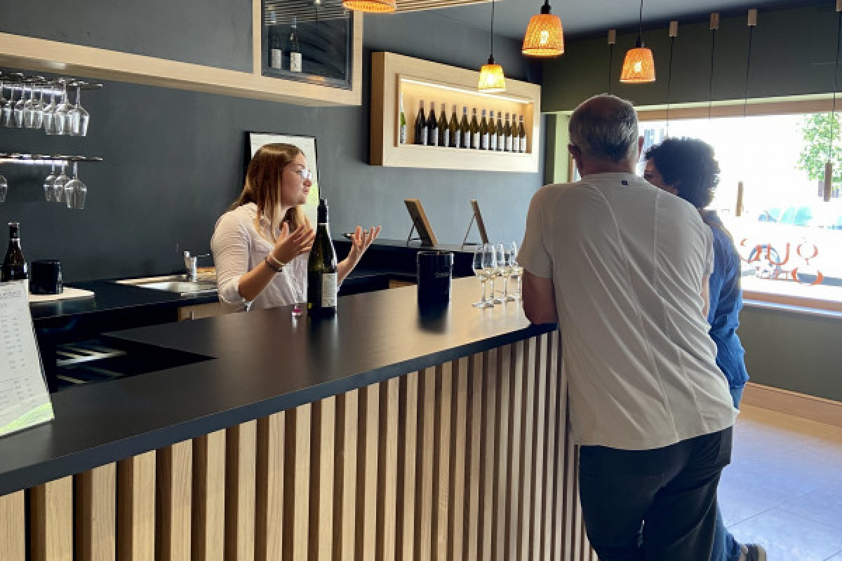 Dégustation découverte des vins du Domaine - Bonjour Fun