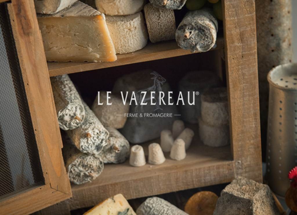 Dégustation en accord - Vins et fromages - Bonjour Fun