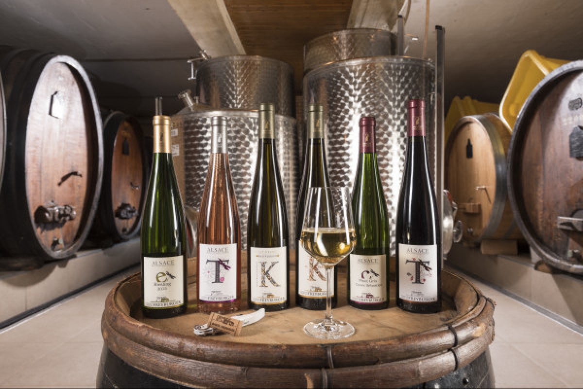 DEGUSTATION GOURMANDE VIN ET CHOCOLAT ! - Bonjour Fun