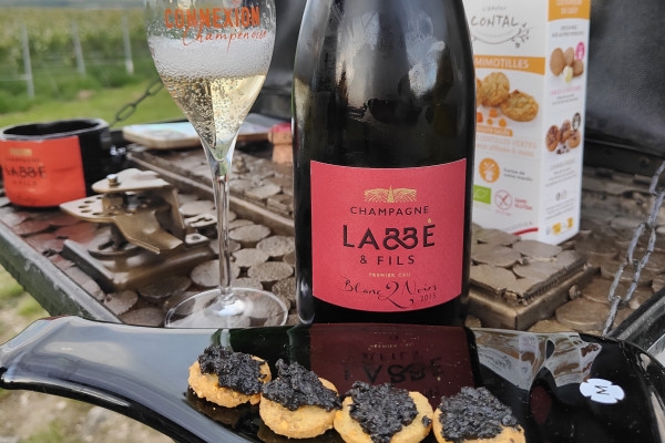 Dégustation Millésimé et balade panoramique, vignoble - Bonjour Fun