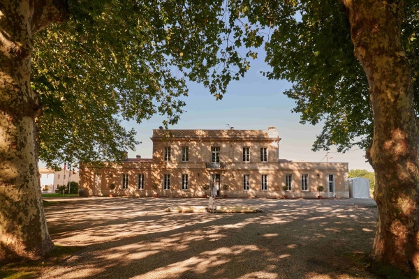 Dégustation terroirs 4 vins - Bonjour Fun