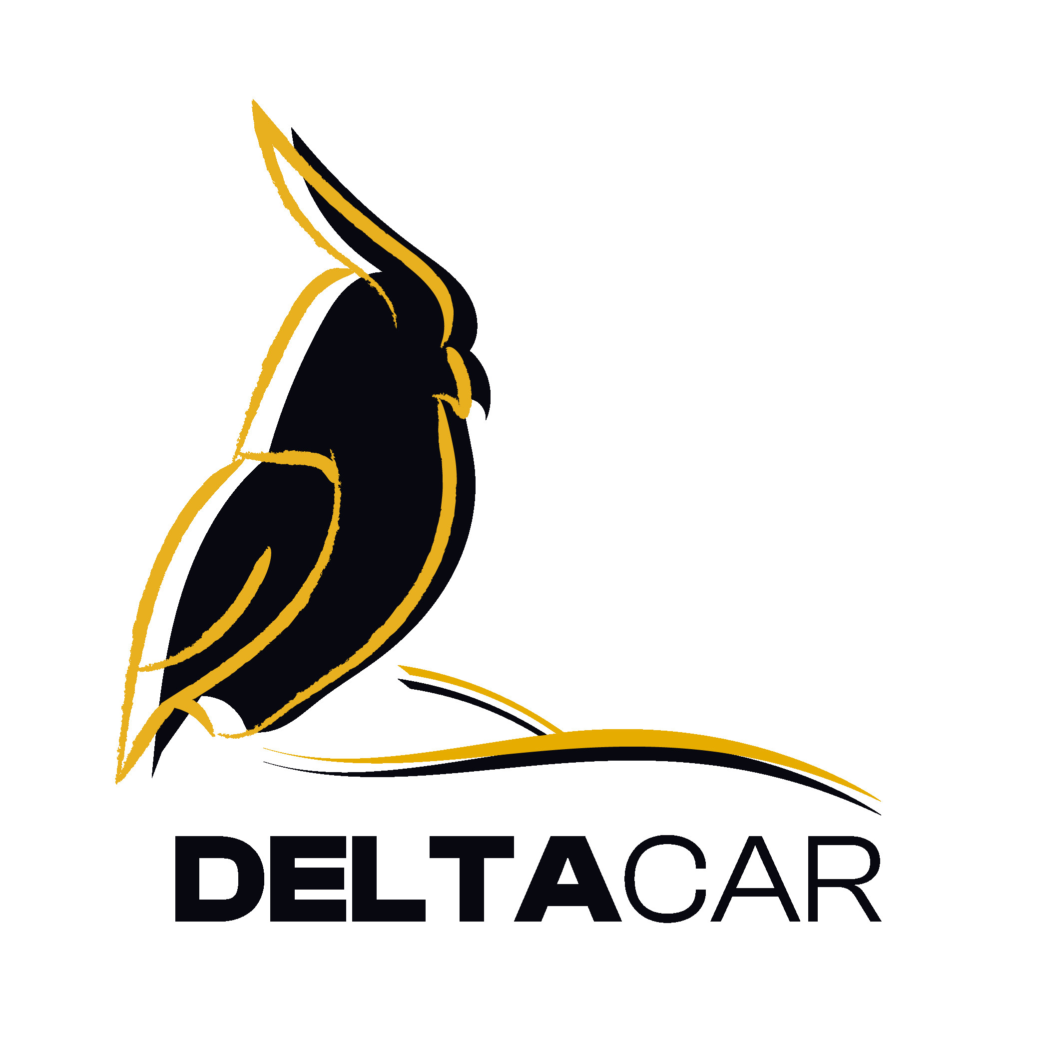 DELTACAR - Bonjour Fun