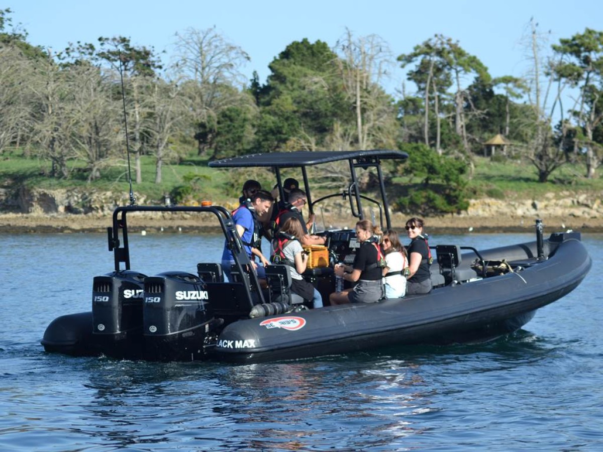 Demi-journée privée découverte Golfe du Morbihan - Semi-rigide - Bonjour Fun