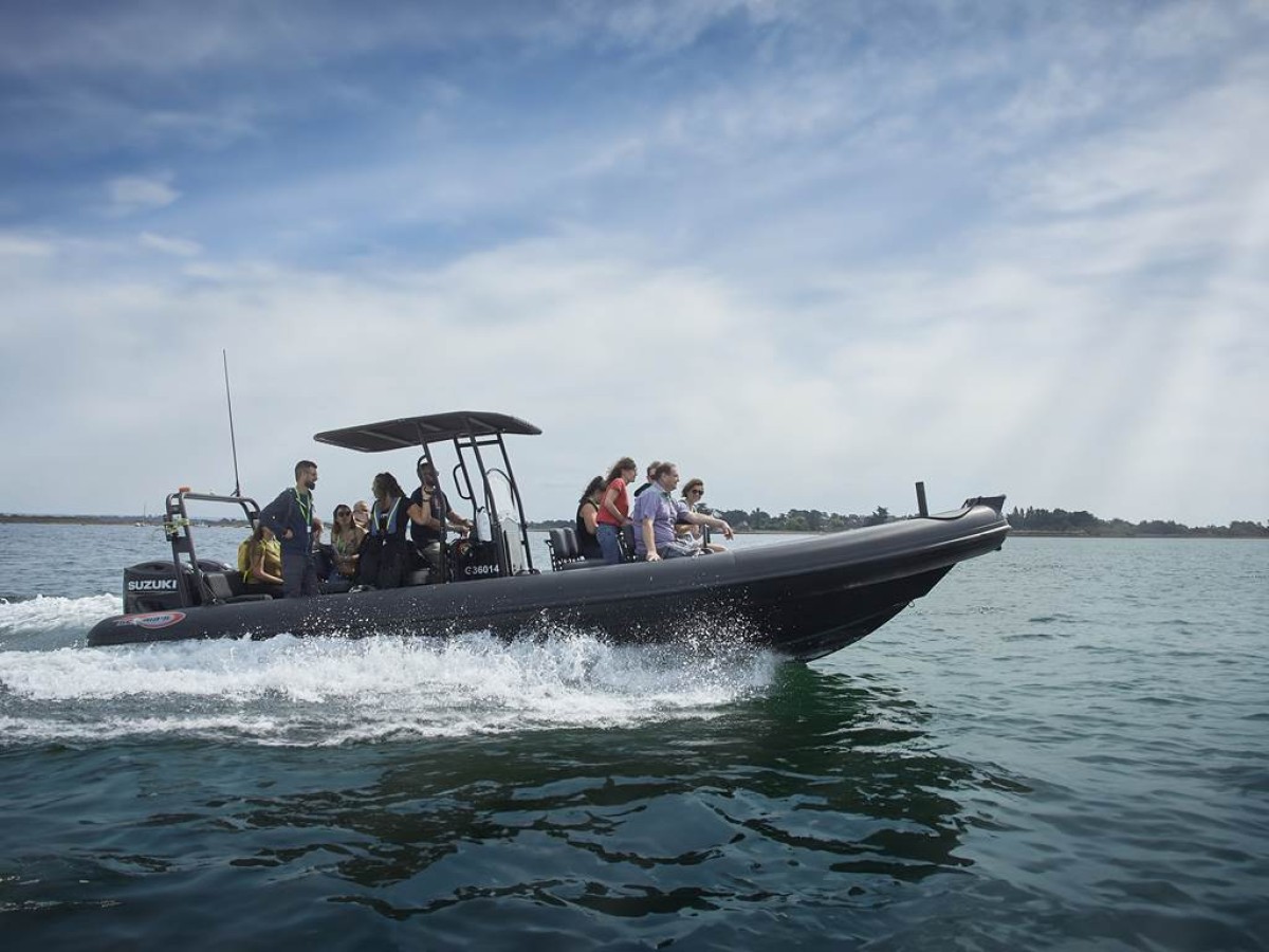 Demi-journée privée découverte Golfe du Morbihan - Semi-rigide - Bonjour Fun