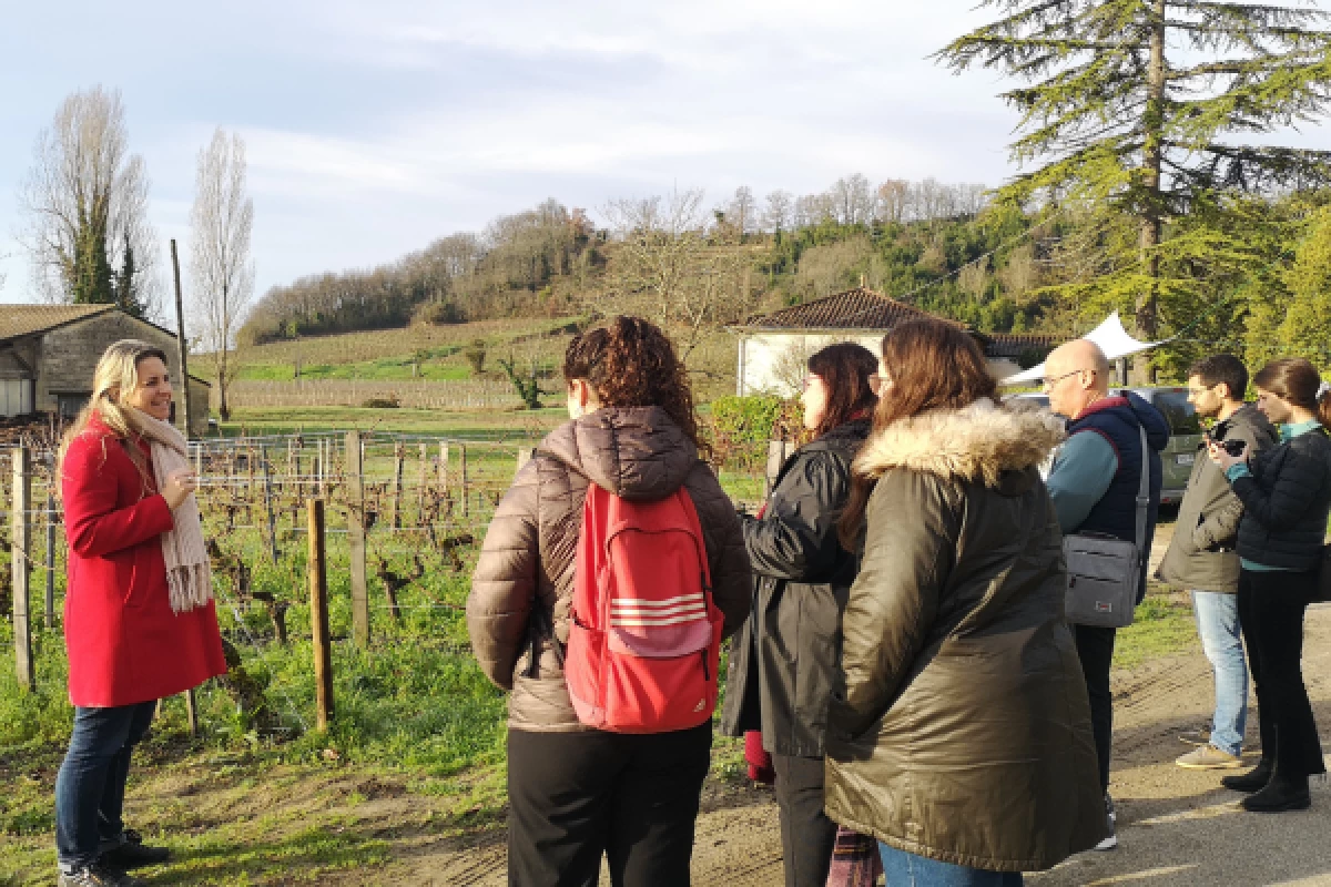 Demi-journée Saint-Émilion : découvrez l'essentiel - Bonjour Fun