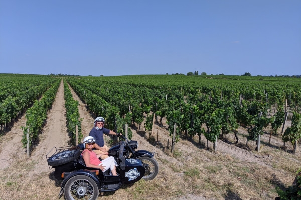 Départ de Saint-Emilion - balade privée dans les vignes - Bonjour Fun