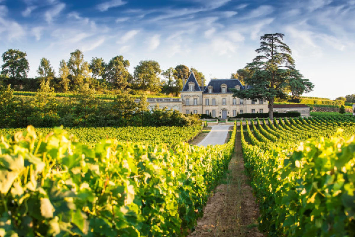 Depuis Bordeaux: tour privé à Saint Emilion - Bonjour Fun