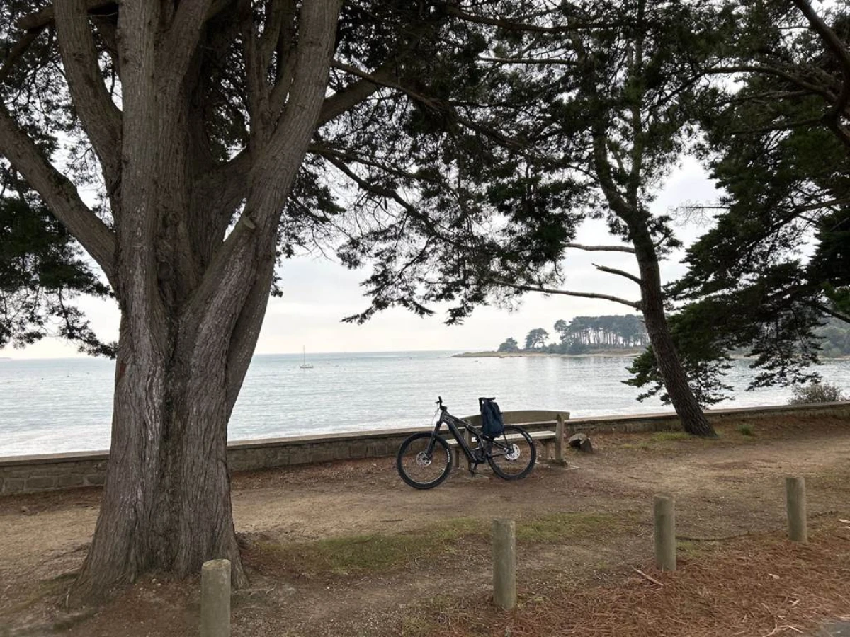 Des Alignements du Ménec à Carnac au port de la Trinité-sur-Mer en passant par Carnac Plage - Bonjour Fun
