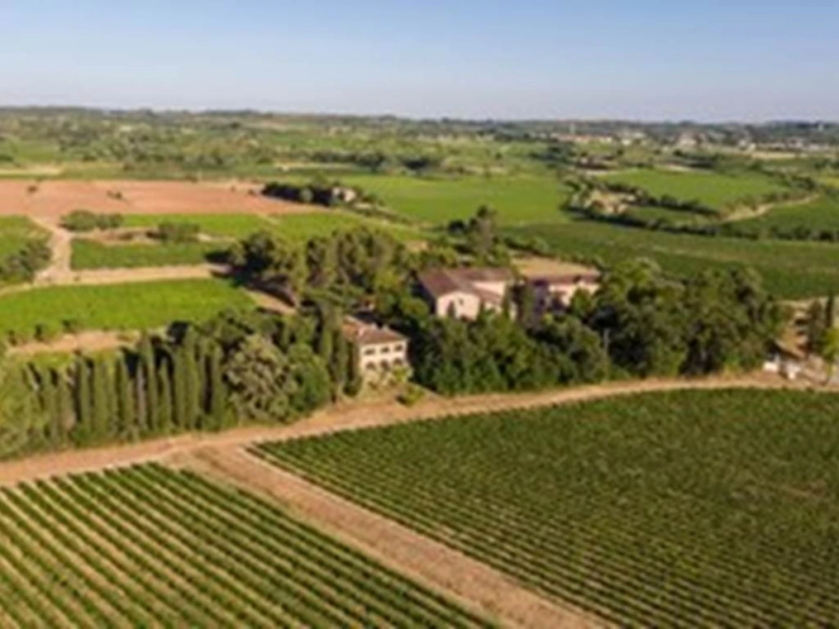 DOMAINE DE LA CONSEILLERE - Bonjour Fun