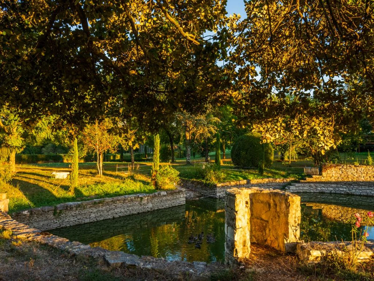 Domaine des Ormeaux - Bonjour Fun
