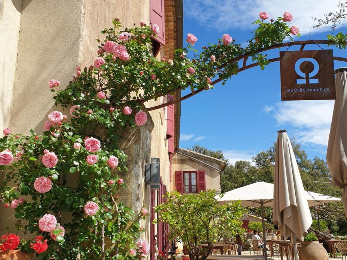 Domaine du Lac - Teritoria - Bonjour Fun