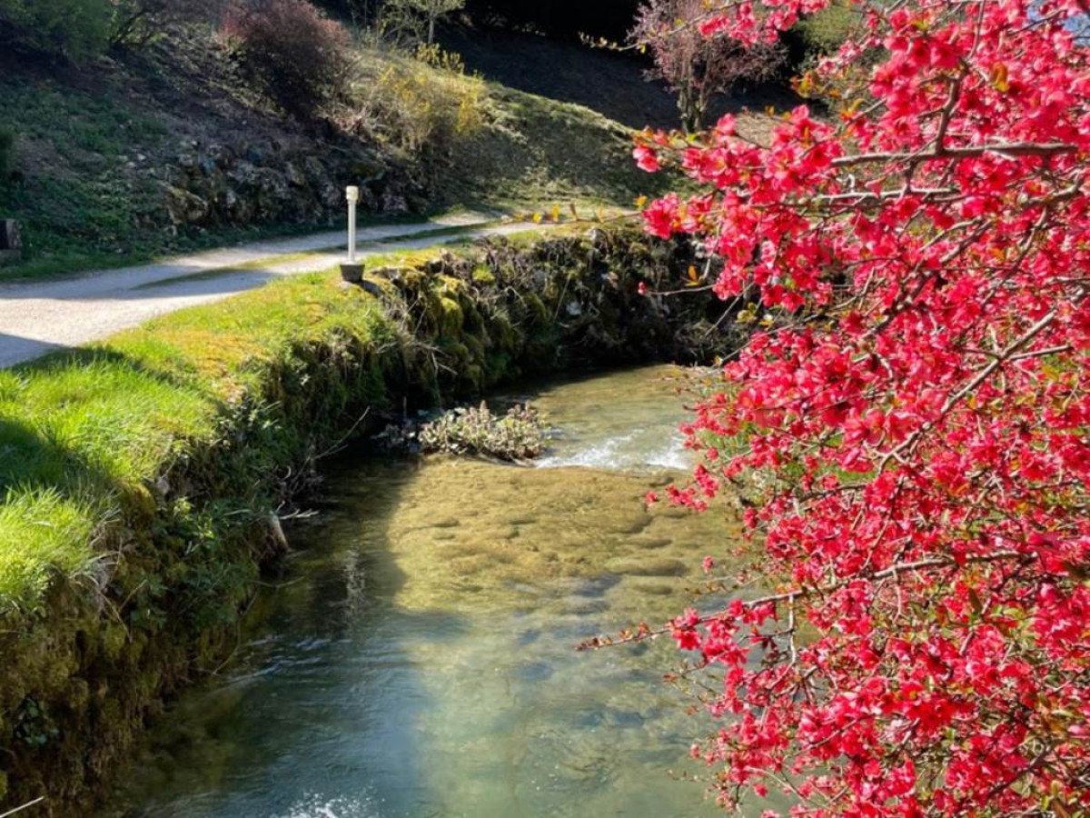 Domaine Du Moulin Vallée Heureuse - Bonjour Fun