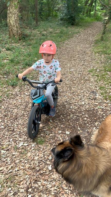 Draisienne électrique dès 4 ans - Bonjour Fun