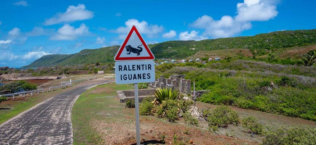 Escapade à la Désirade - Bonjour Fun