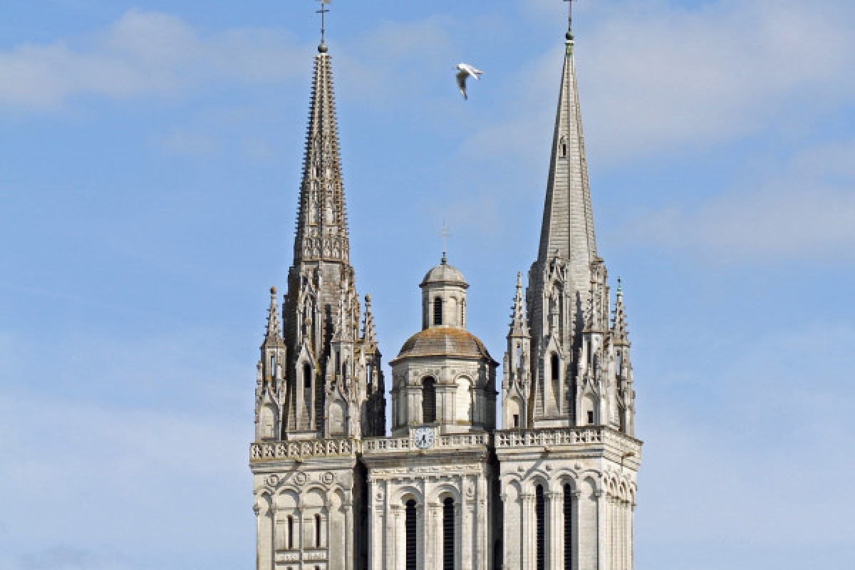 Escape The City - Bonjour Fun