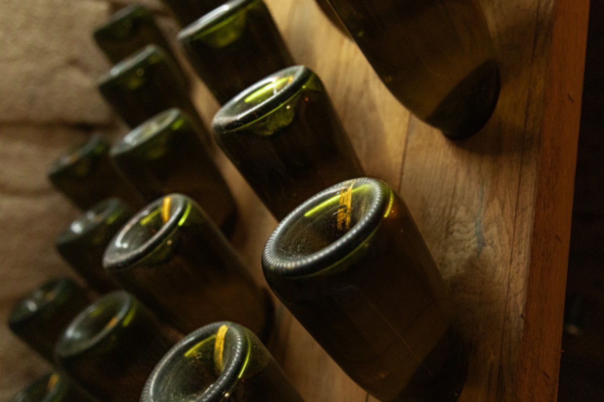 Essentiel Tour - Bonjour Fun