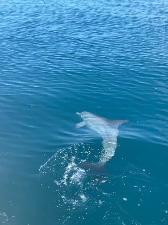 Excursion à la journée - Bonjour Fun
