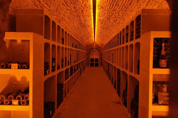 Excursion d’un jour en Champagne : visite et dégustation - Bonjour Fun