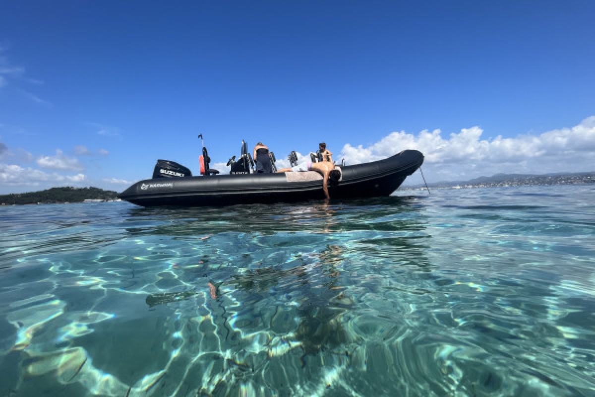 Excursion en mer 2h30 - Bonjour Fun