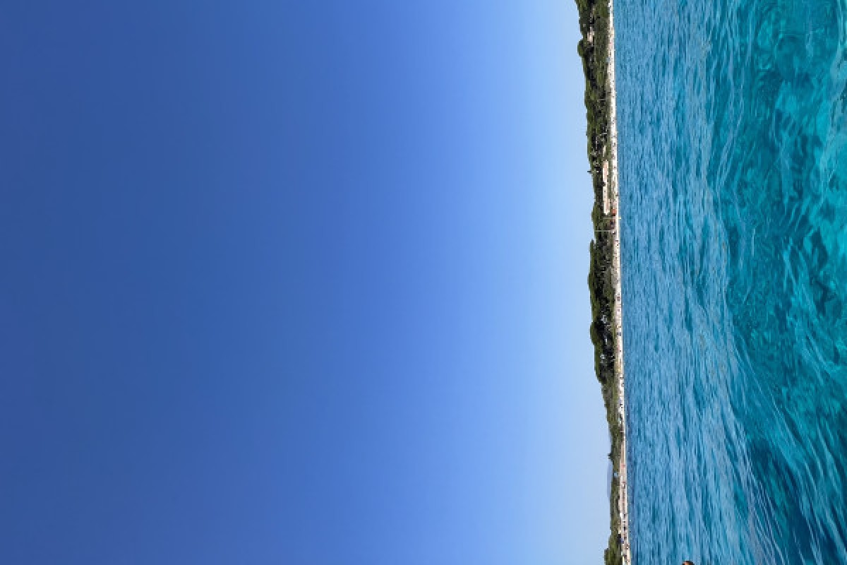 Excursion en mer 2h30 - Bonjour Fun