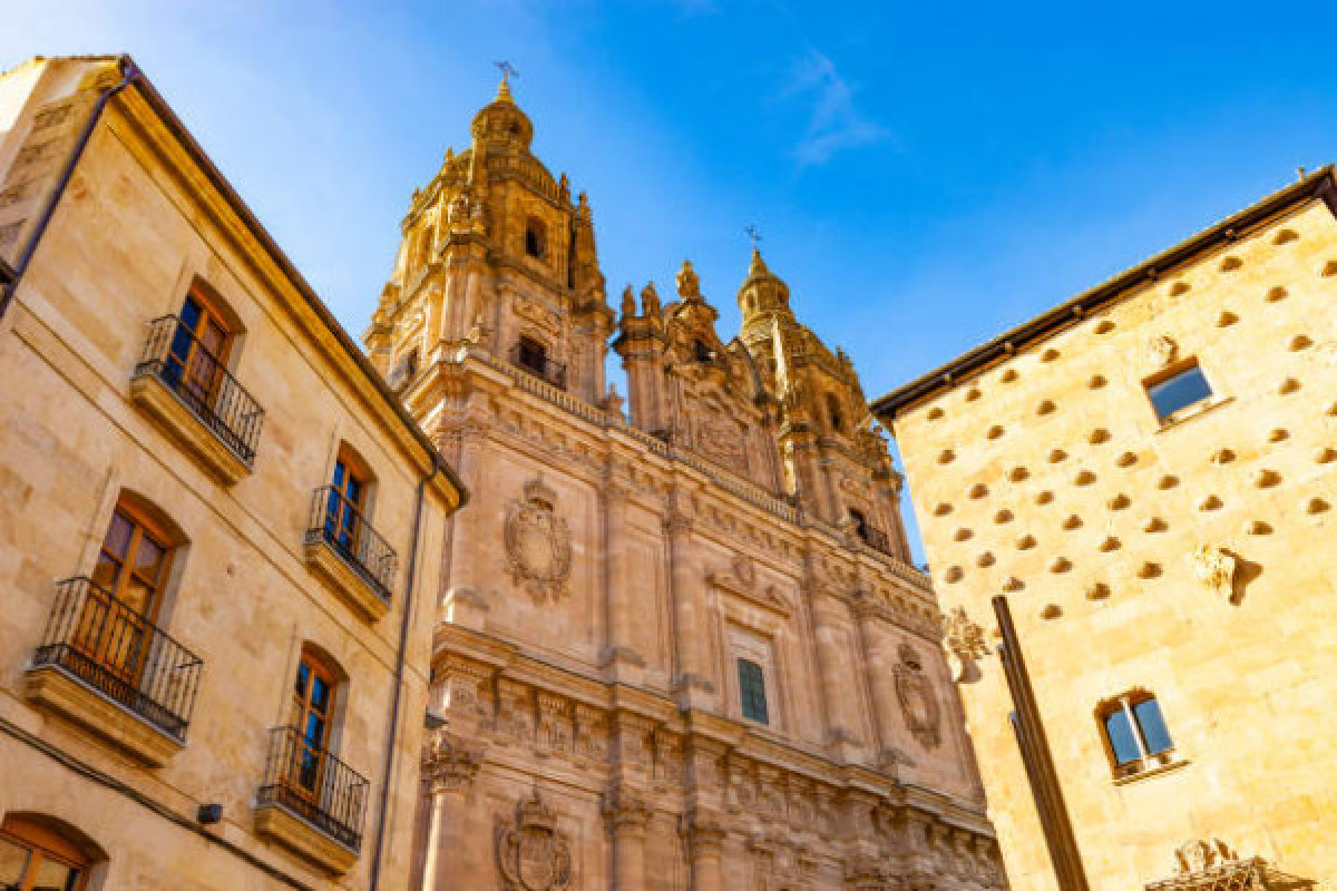 Exclusive Excursion to Salamanca  - Bonjour Fun