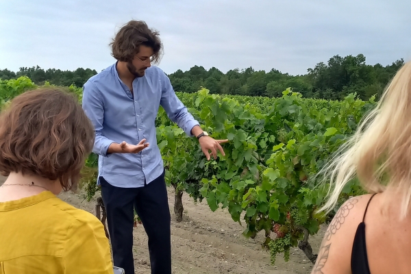 Excursion Médoc et Margaux : Cru Bourgois et Cru Classé - Bonjour Fun