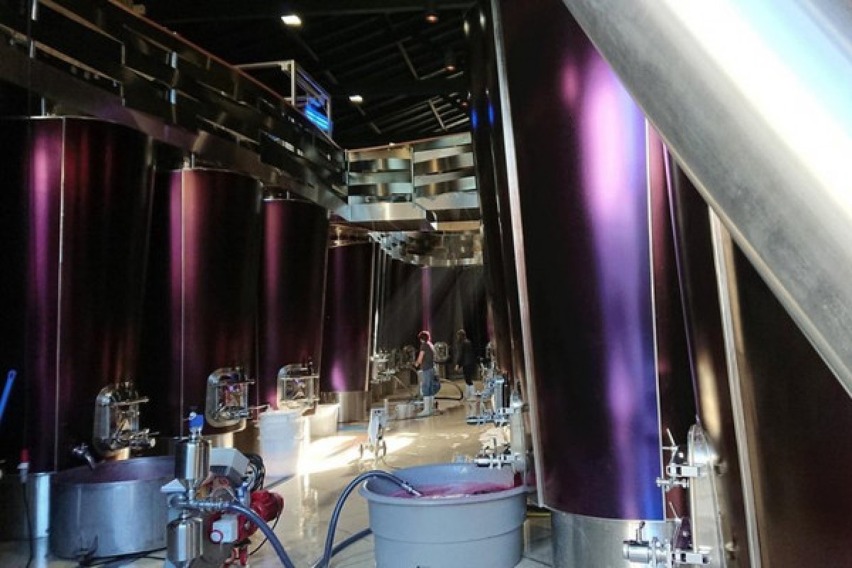 Excursion œnologique à Saint-Émilion (Berline) - Bonjour Fun