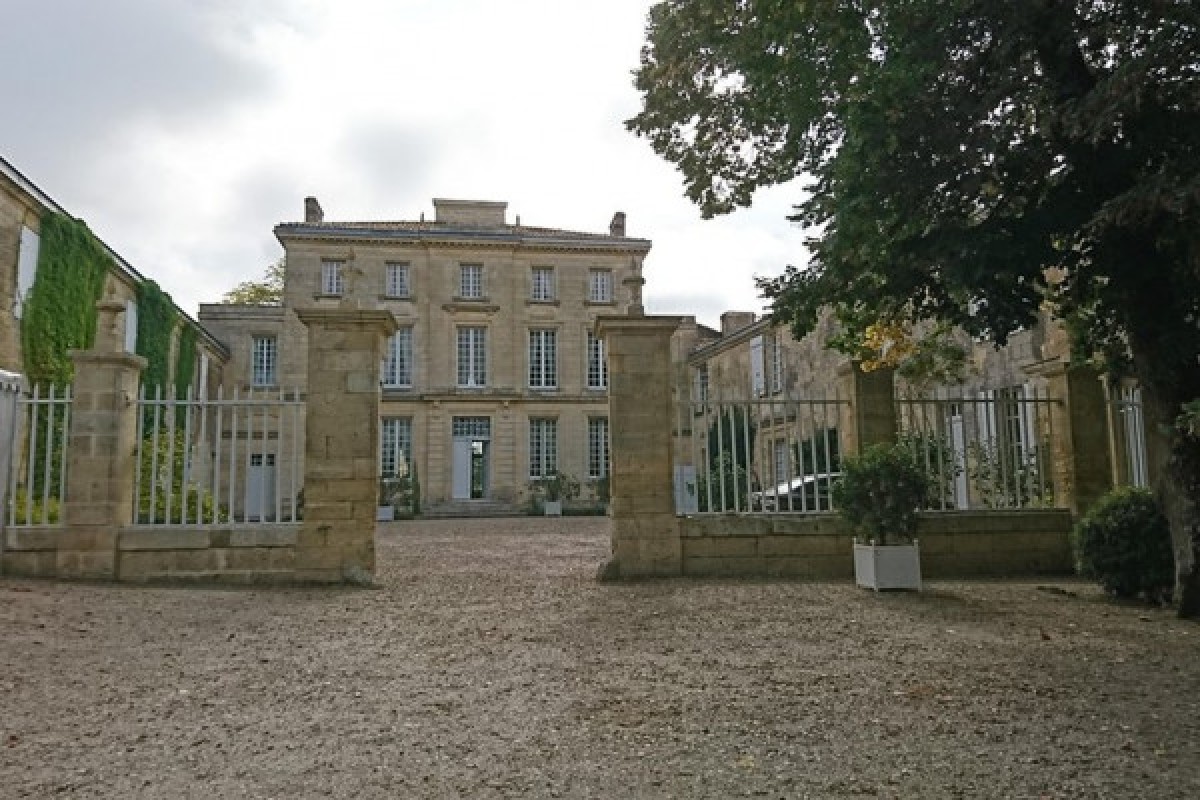 Excursion œnologique à Saint-Émilion (Berline) - Bonjour Fun