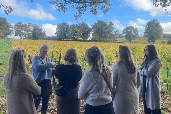Excursion Saint-Émilion : vins et village médiéval - Bonjour Fun