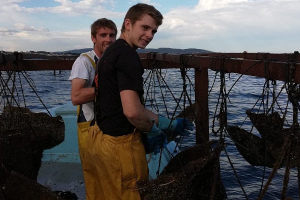 Excursion Sète - Demi Journée Huîtres et Vins - Bonjour Fun